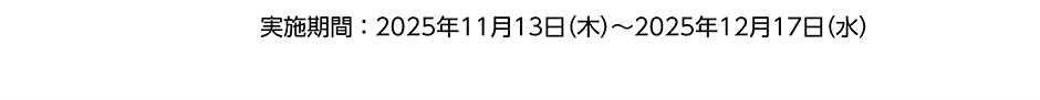 実施期間：2025年11月13日(木)～2025年12月17日(木)