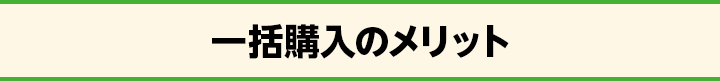 一括購入のメリット